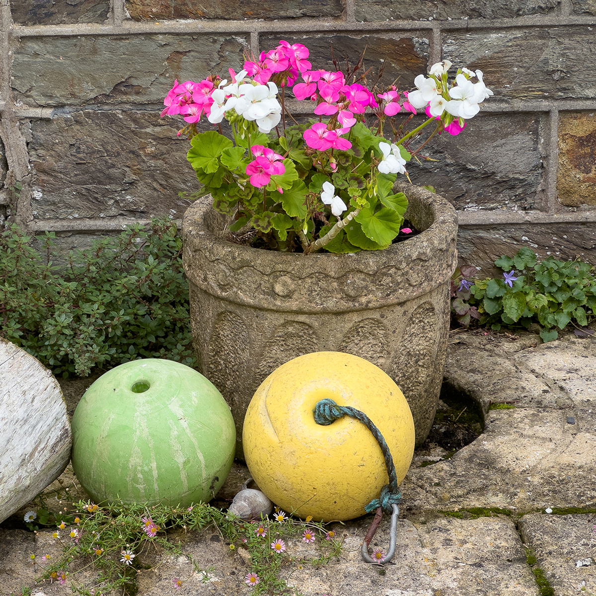 "Buoys and blooms" by Morlais Davies