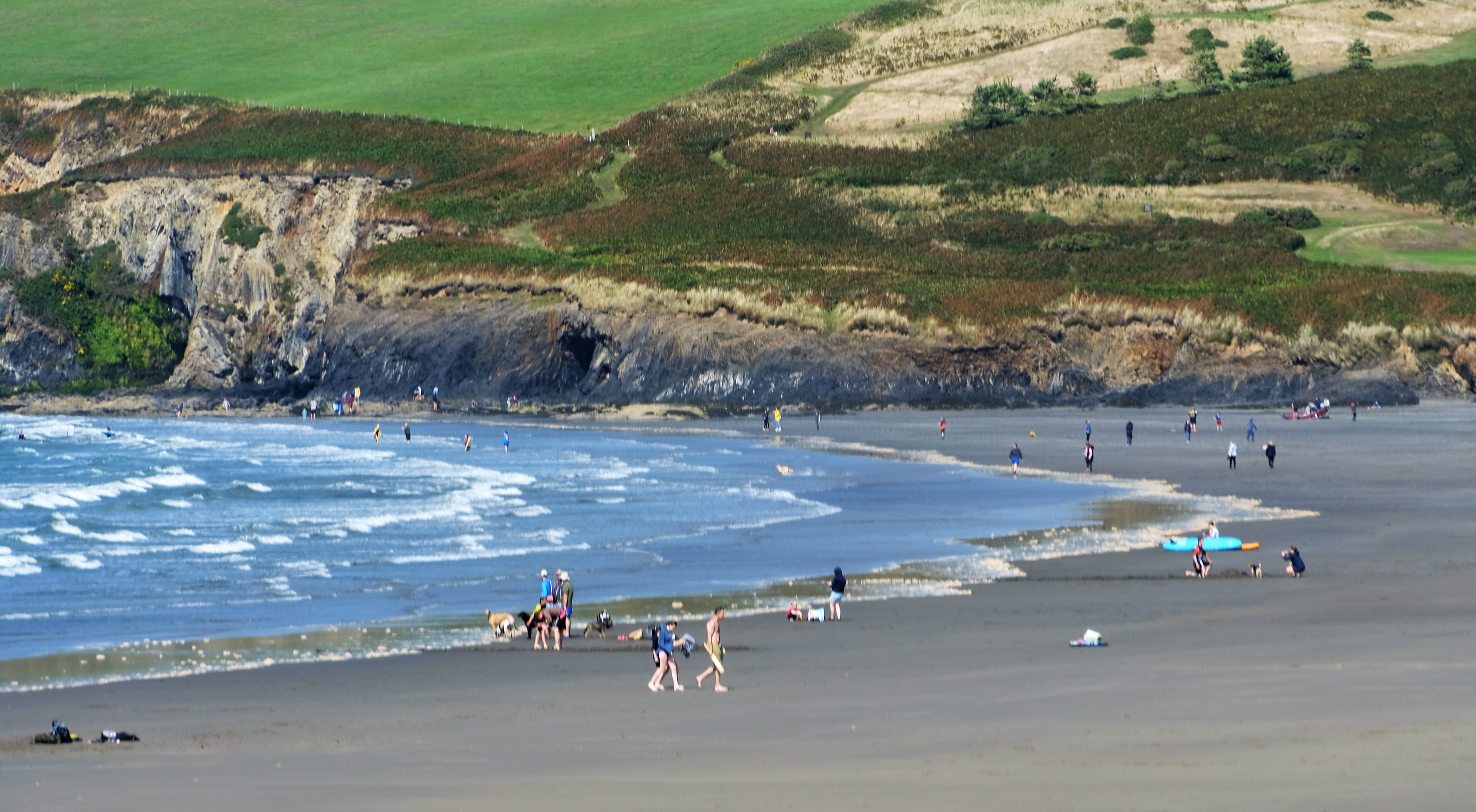 "Play Safe" by David Hough