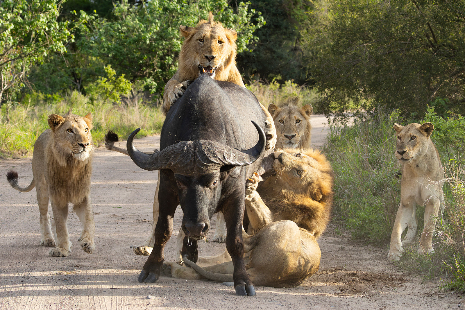 1st: "There is a traffic situation on your route ahead" by Ben Montgomery