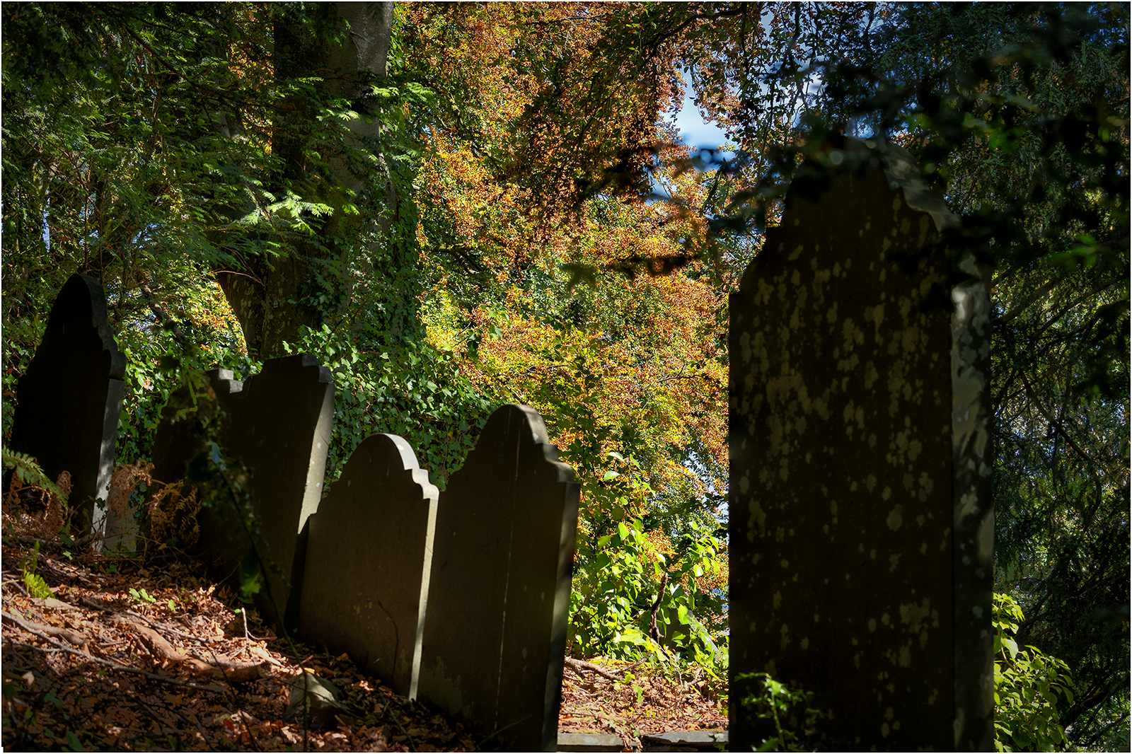 "St Michael upper churchyard 5" by Simon Harding