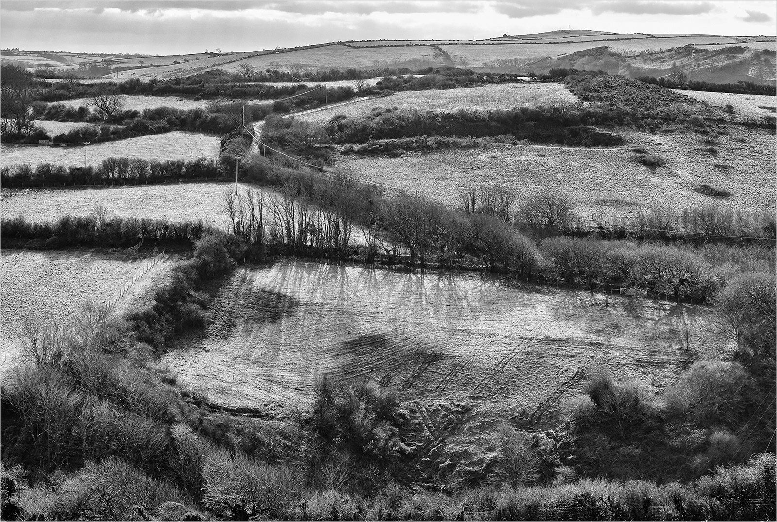 "Silio Shadows" by Viv Evans