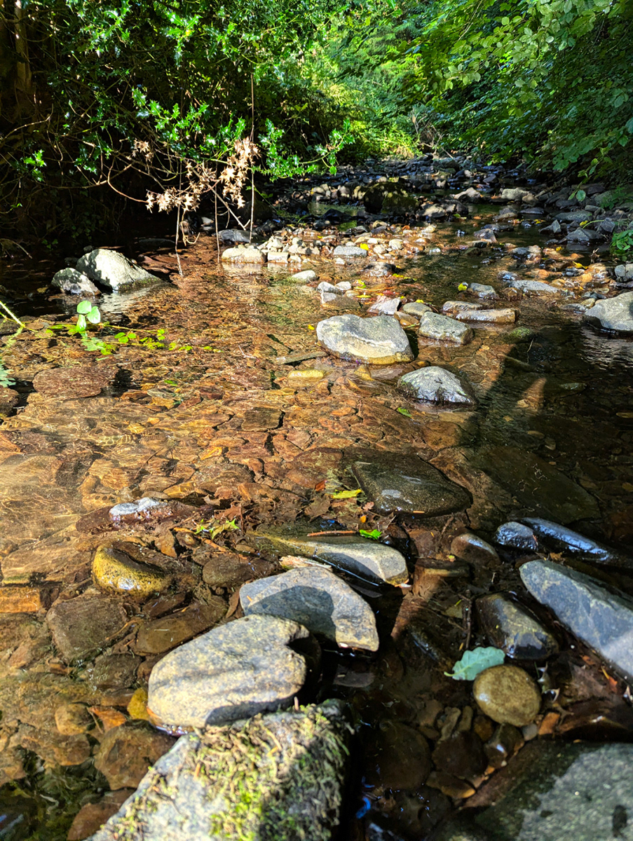 "Dried Up Stream" by Mike Jones