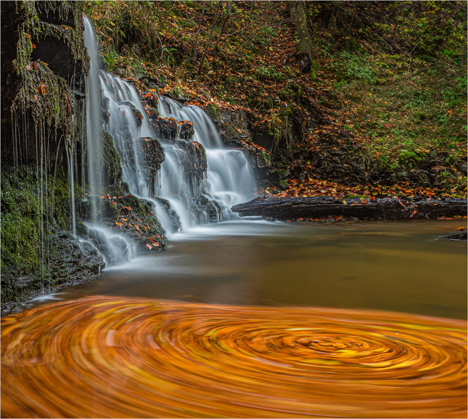 "Swirling Autumn Leaves below the Waterfall" by Anne Jones