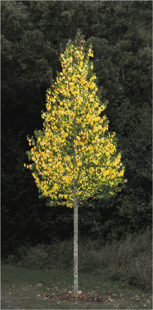 "Messing around in ACR" by Viv Evans