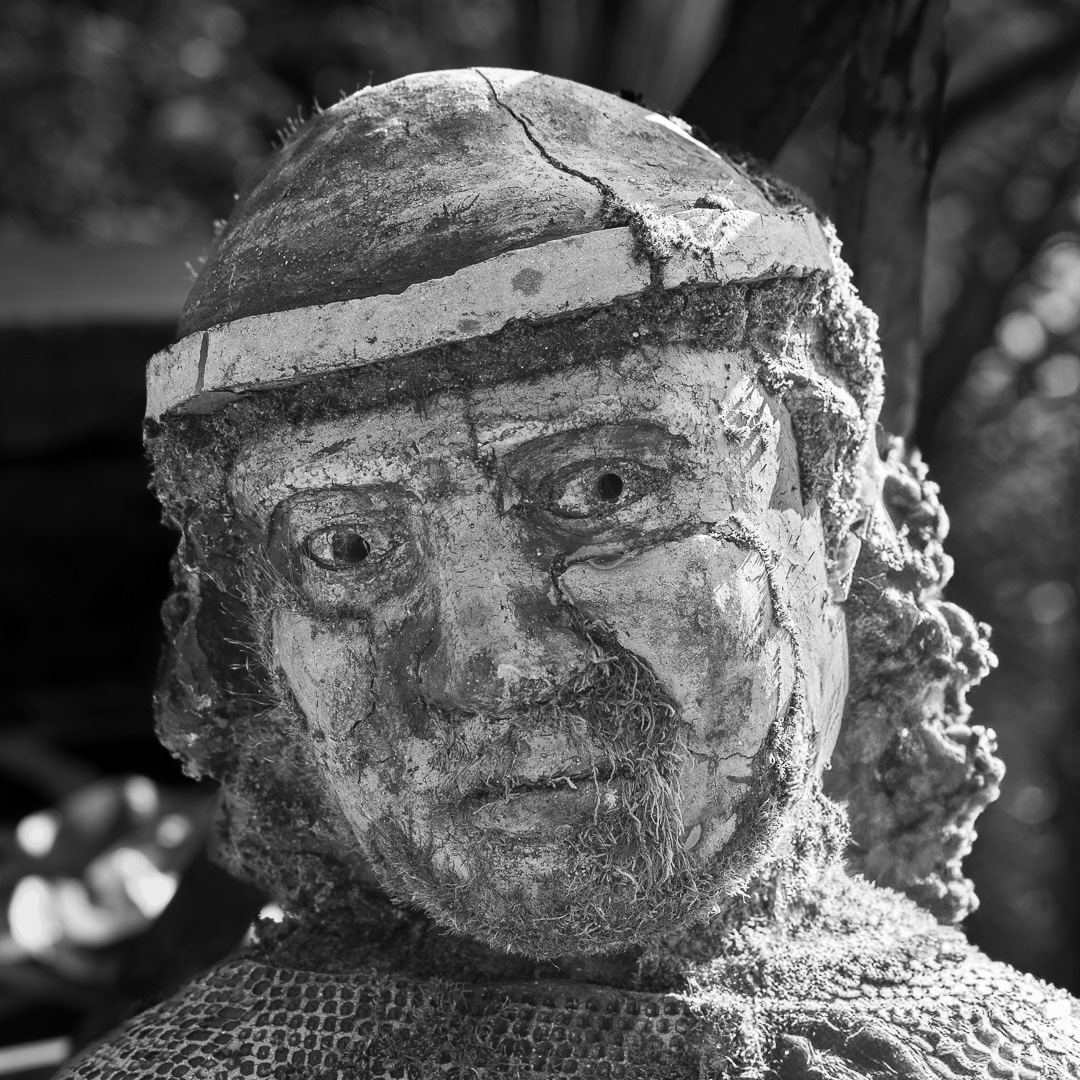 "Still life" by Morlais Davies