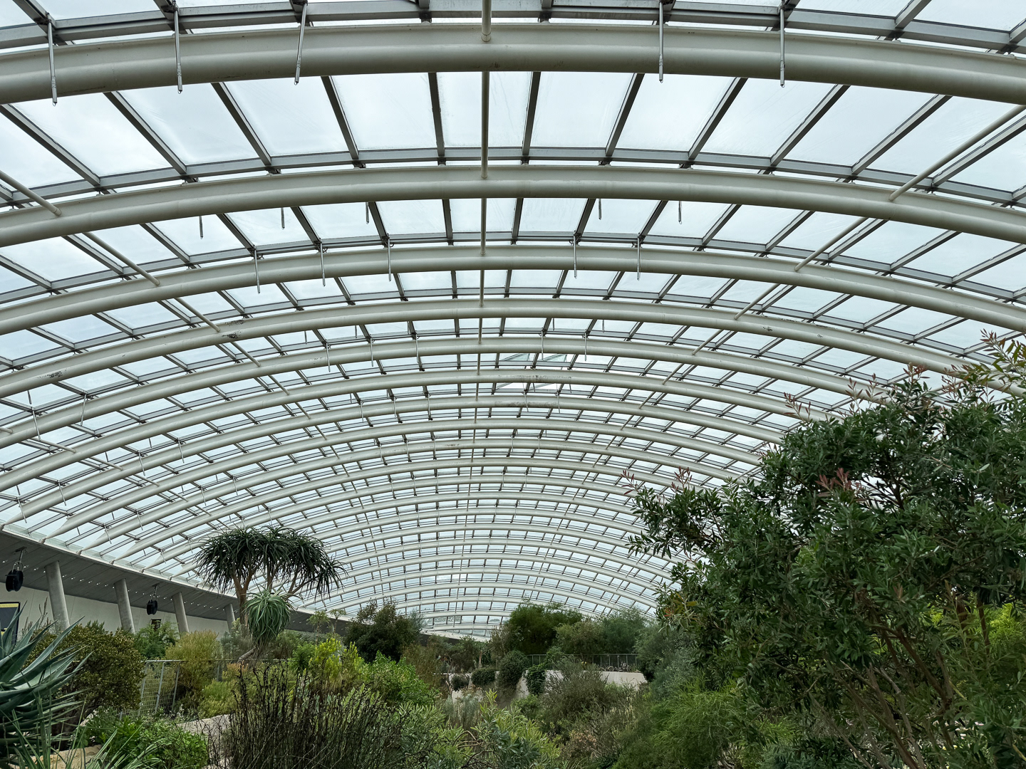 "Great big greenhouse" by Morlais Davies