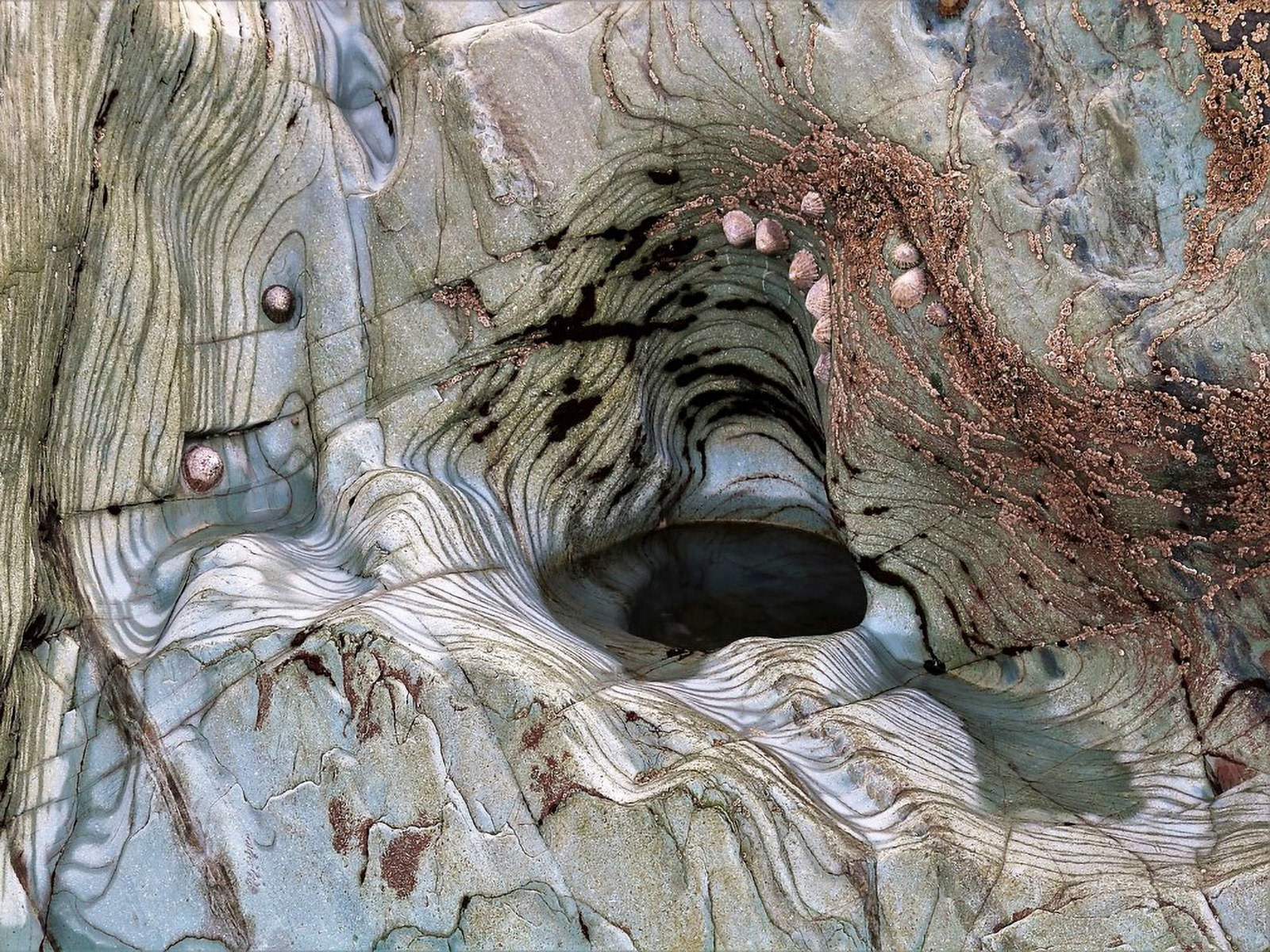 17 points: "Tidal Art, Whitesands" by Brian Ottewell