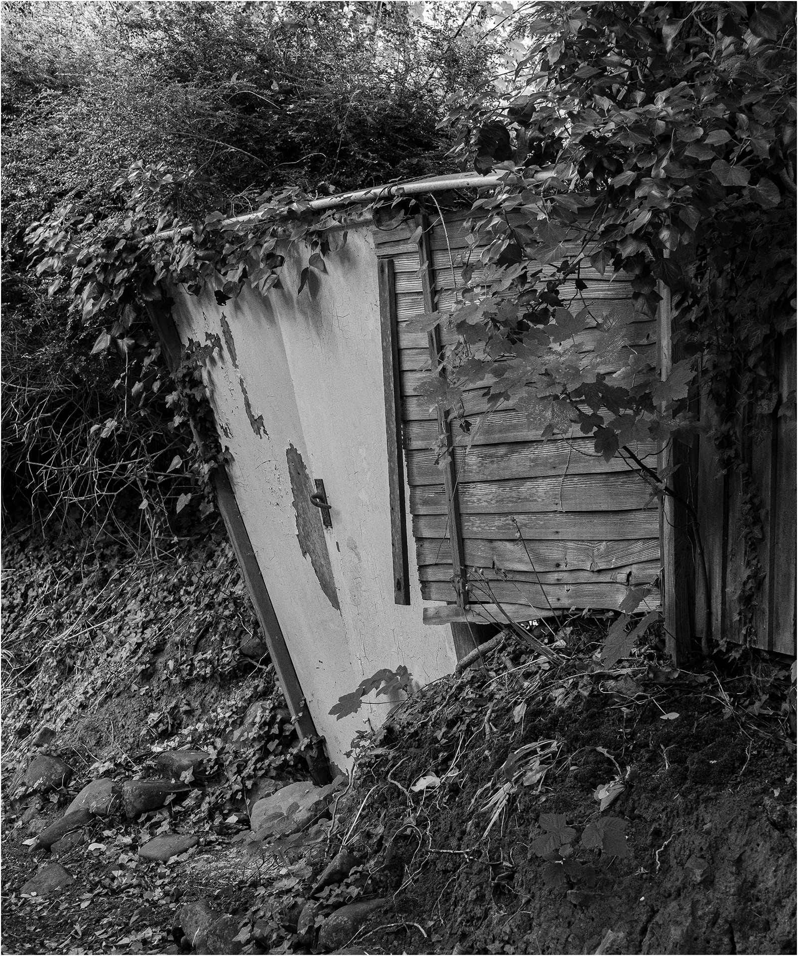 "Aberaeron Portal" by Viv Evans