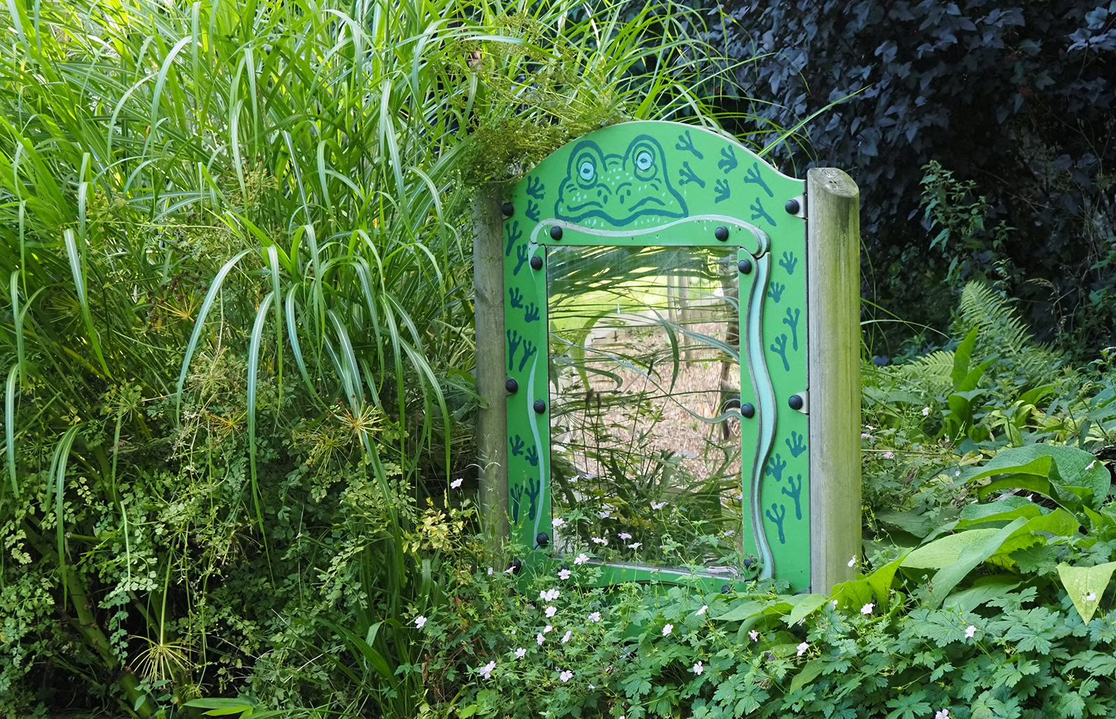 "Frog" by Lindsey Church