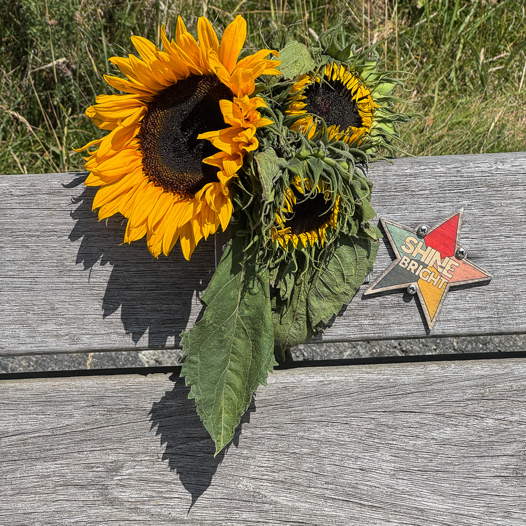 "Aberystwyth-1824" by Morlais Davies