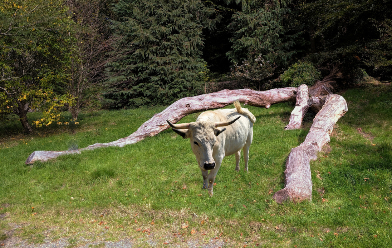 "Photographers Keep Off" by Mike Jones