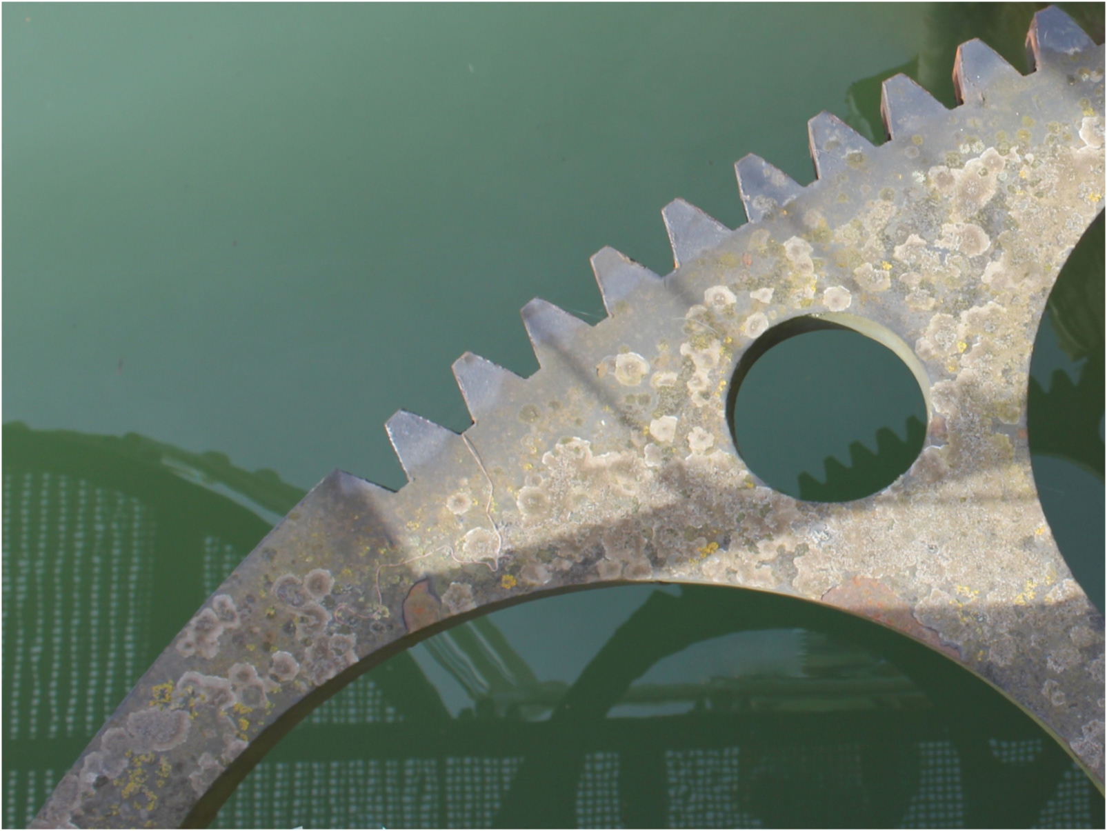 "Bridge Cog" by Margaret Jones