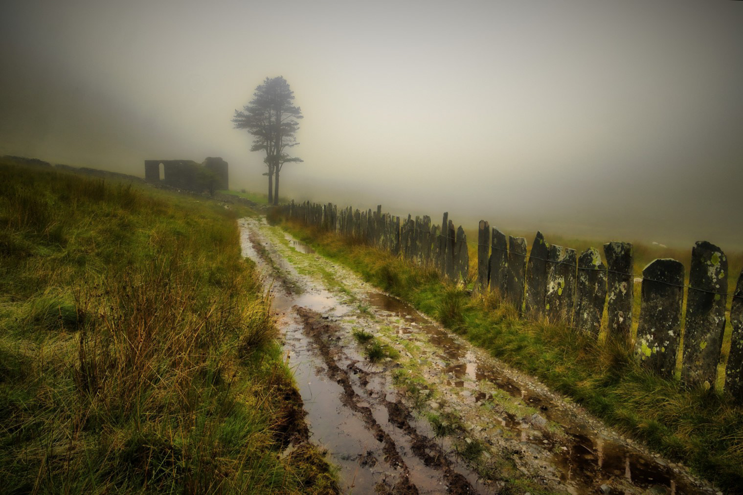 To Those Who Trod Before