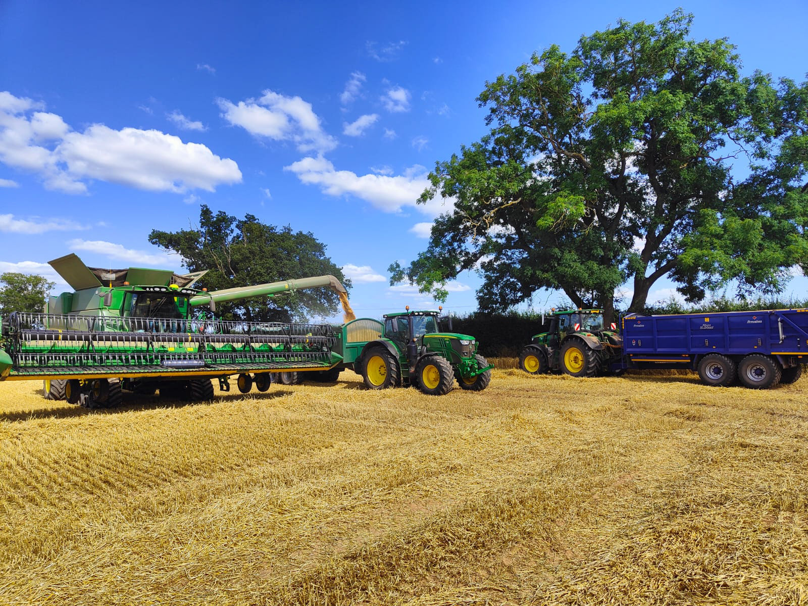"Harvest Time" by Dave Evans