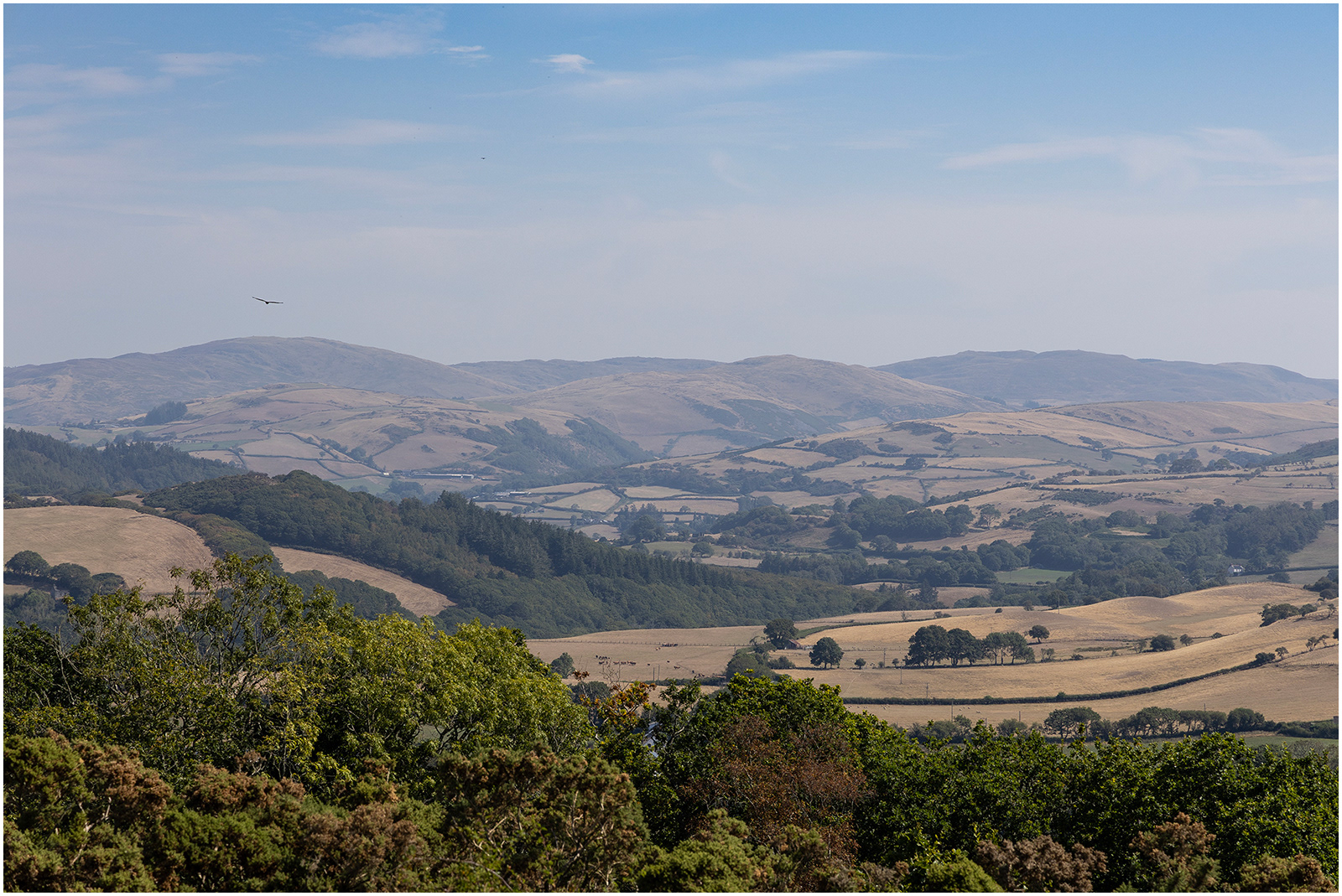 "Walter de Bec's view 2" by Viv Evans