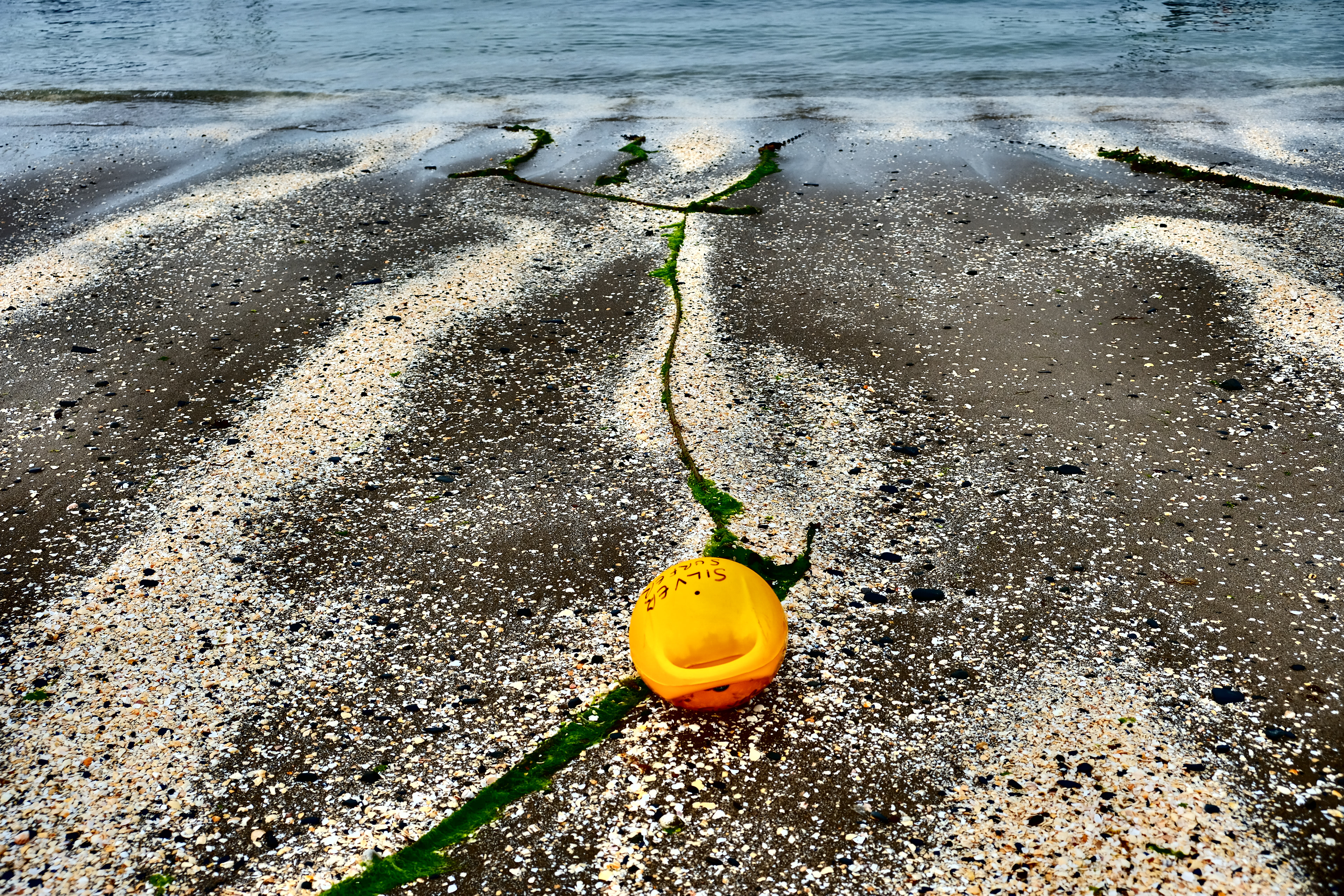 I'm Just a Lonely Buoy