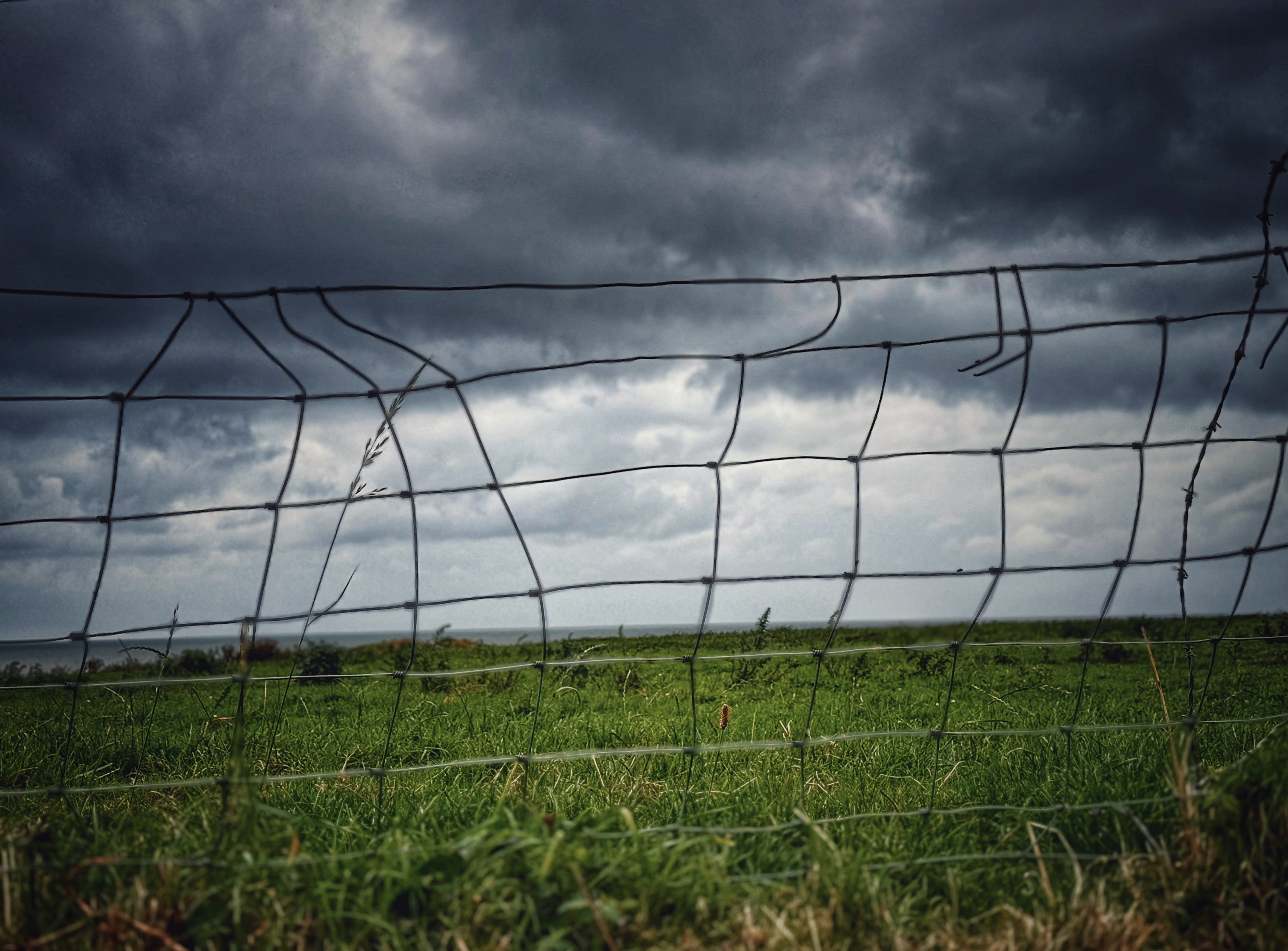 "Please don't fence me in" by David Hough