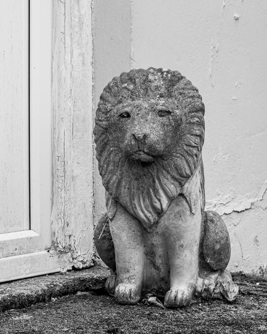 "Llanon 01" by Morlais Davies