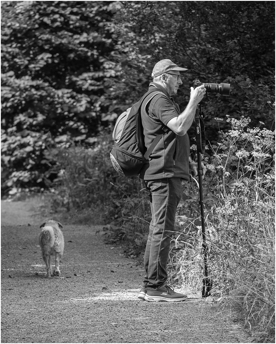 "Mutt and Mono(pod)" by Viv Evans