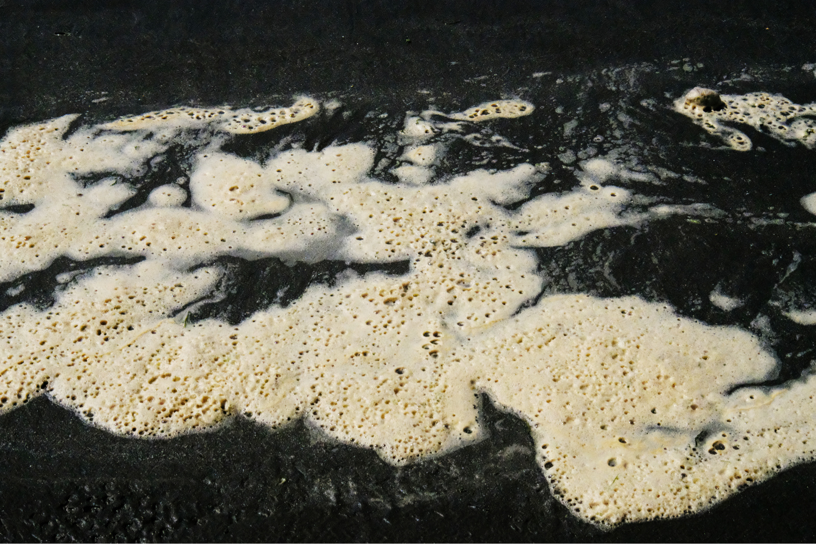 "Sea Foam" by Margaret Jones