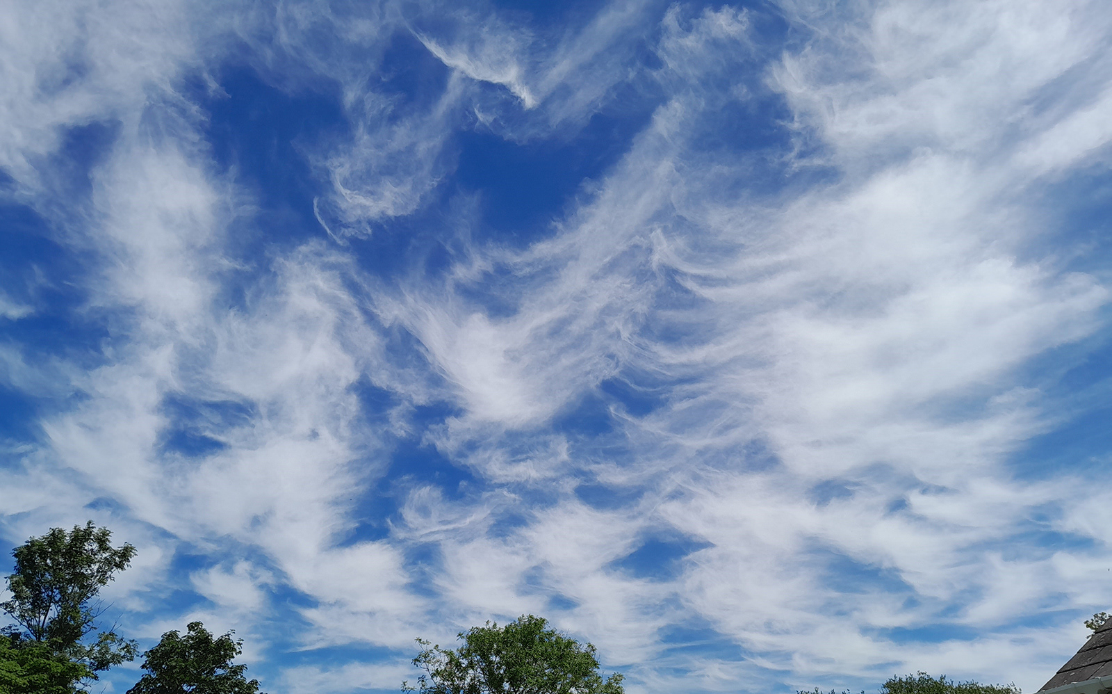 Commended : "Summer Clouds" by Trudy Davies