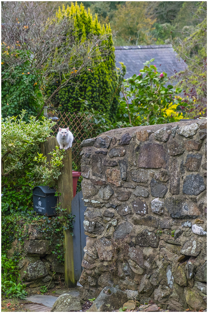 "Waiting for the postman" by Colin Price