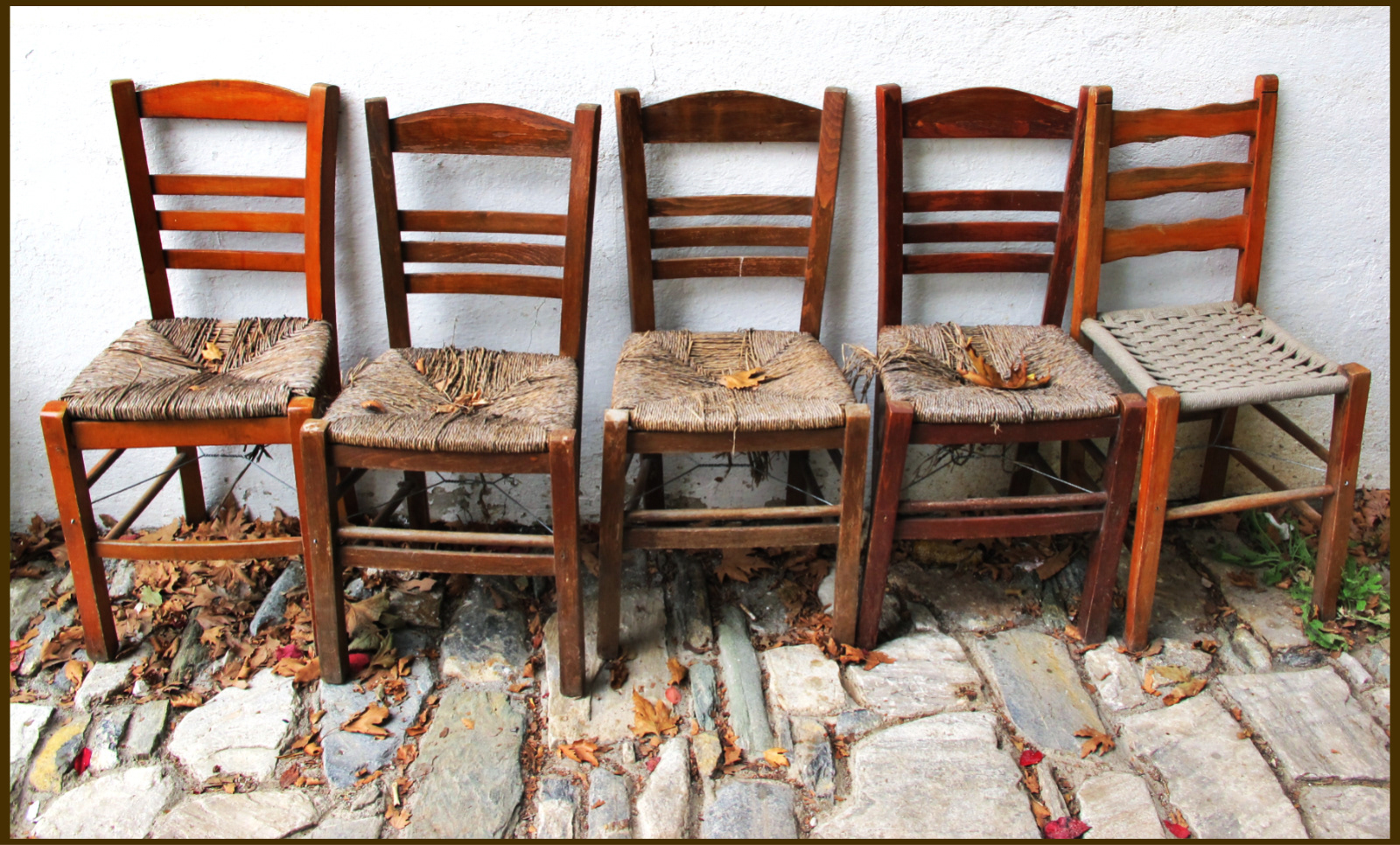 "Odd One Out" by Margaret Jones (16 points) (SC: 14)