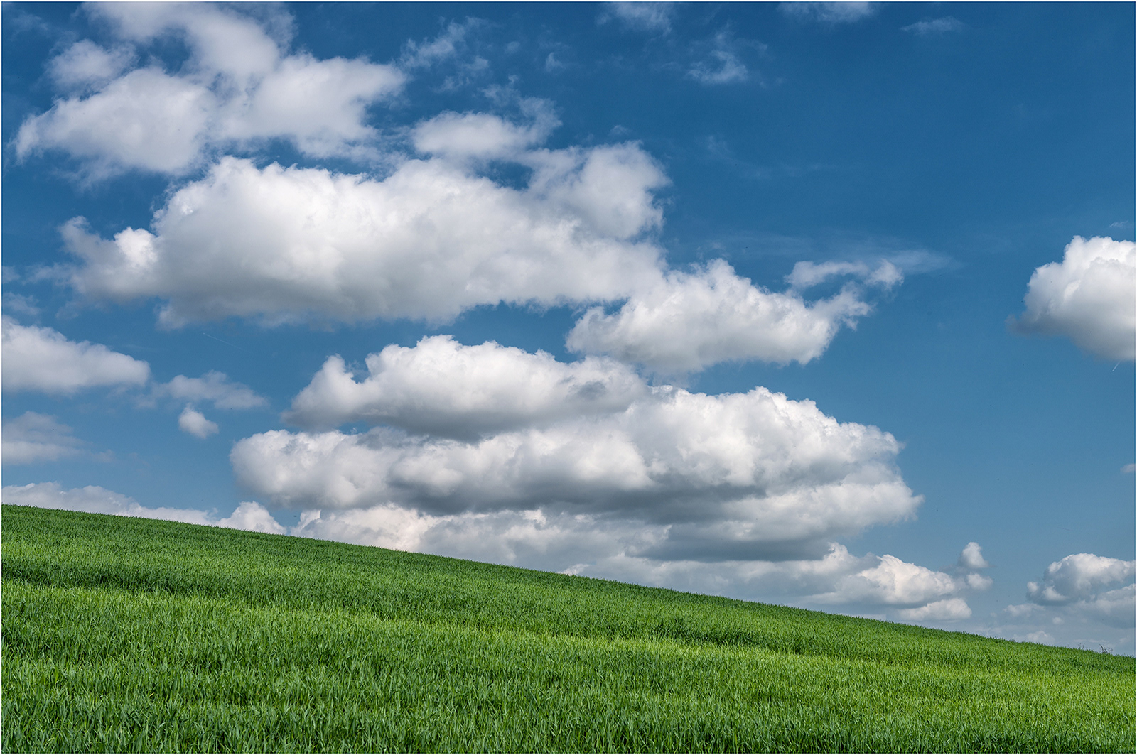 "Cumulus Crops" by Simon Harding