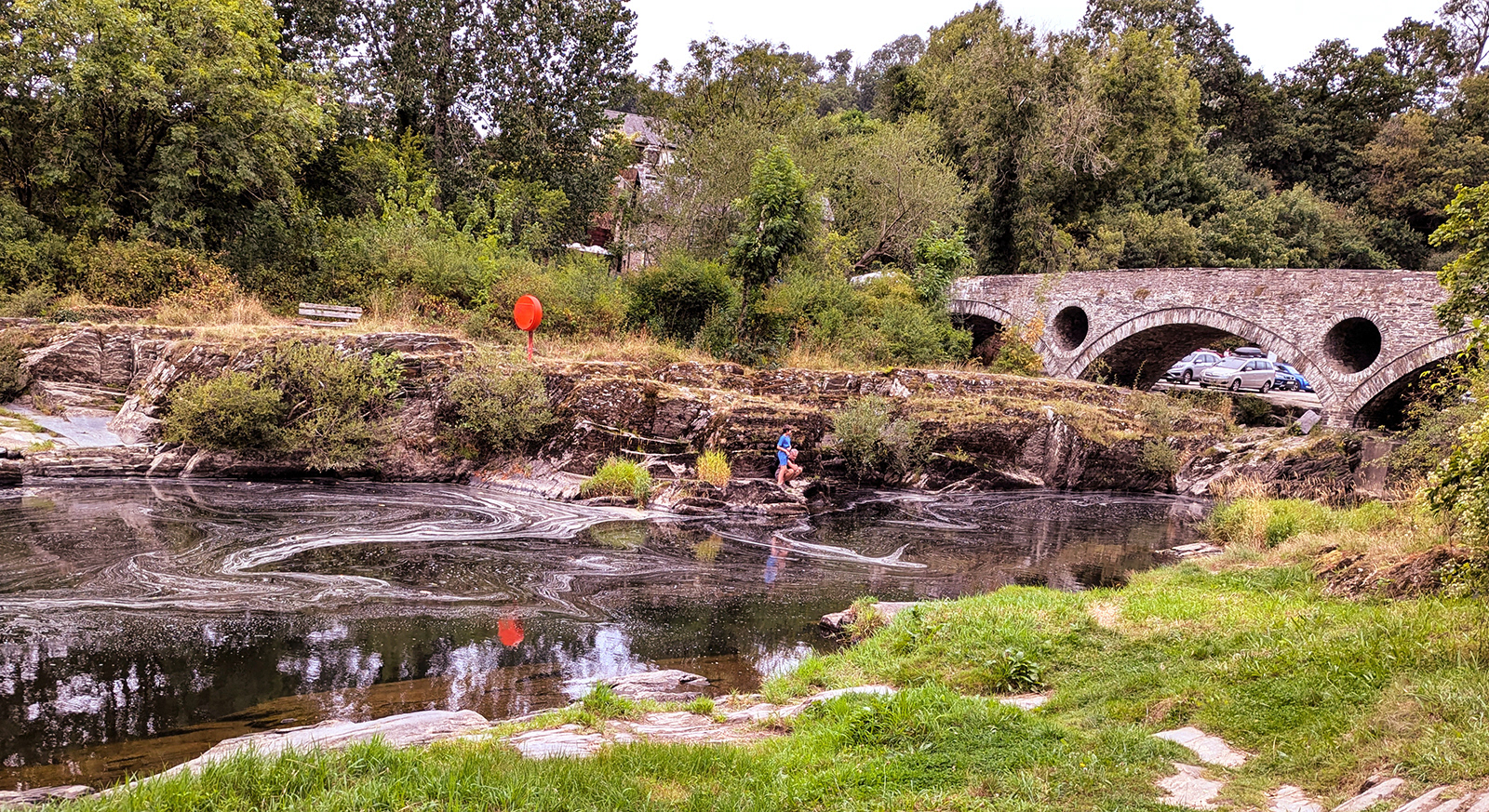 "Enjoying the View" by Mike Jones