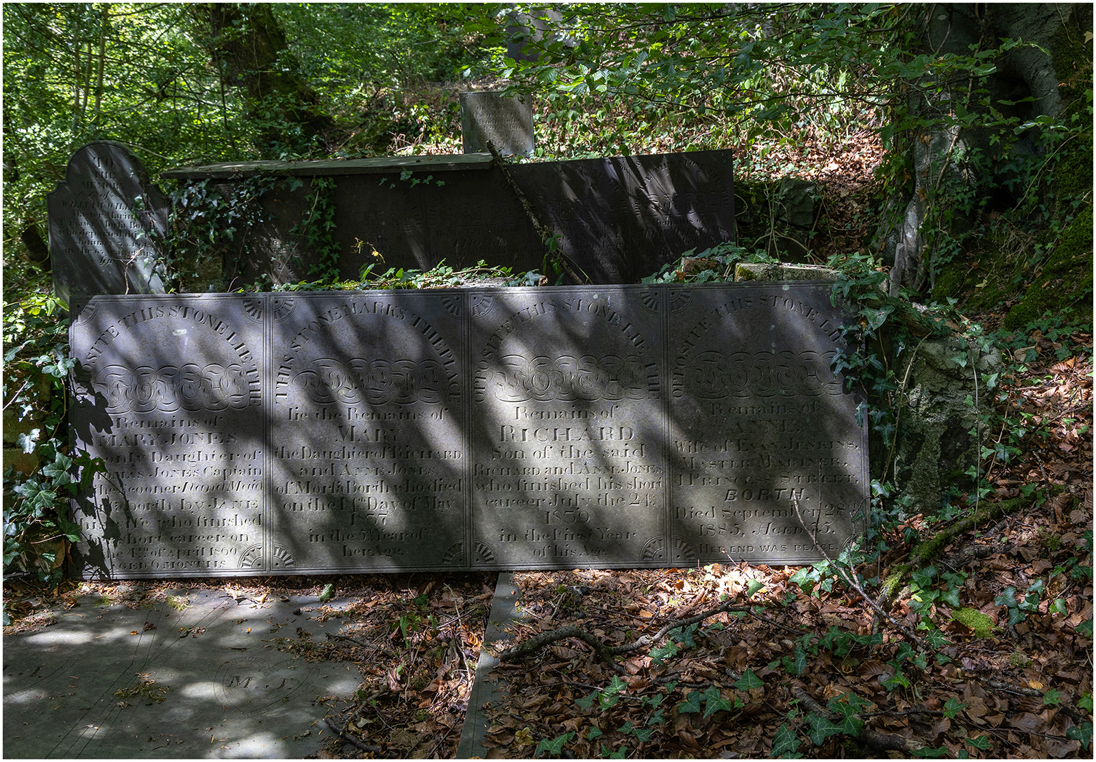 "Shaded resting place 2" by Viv Evans