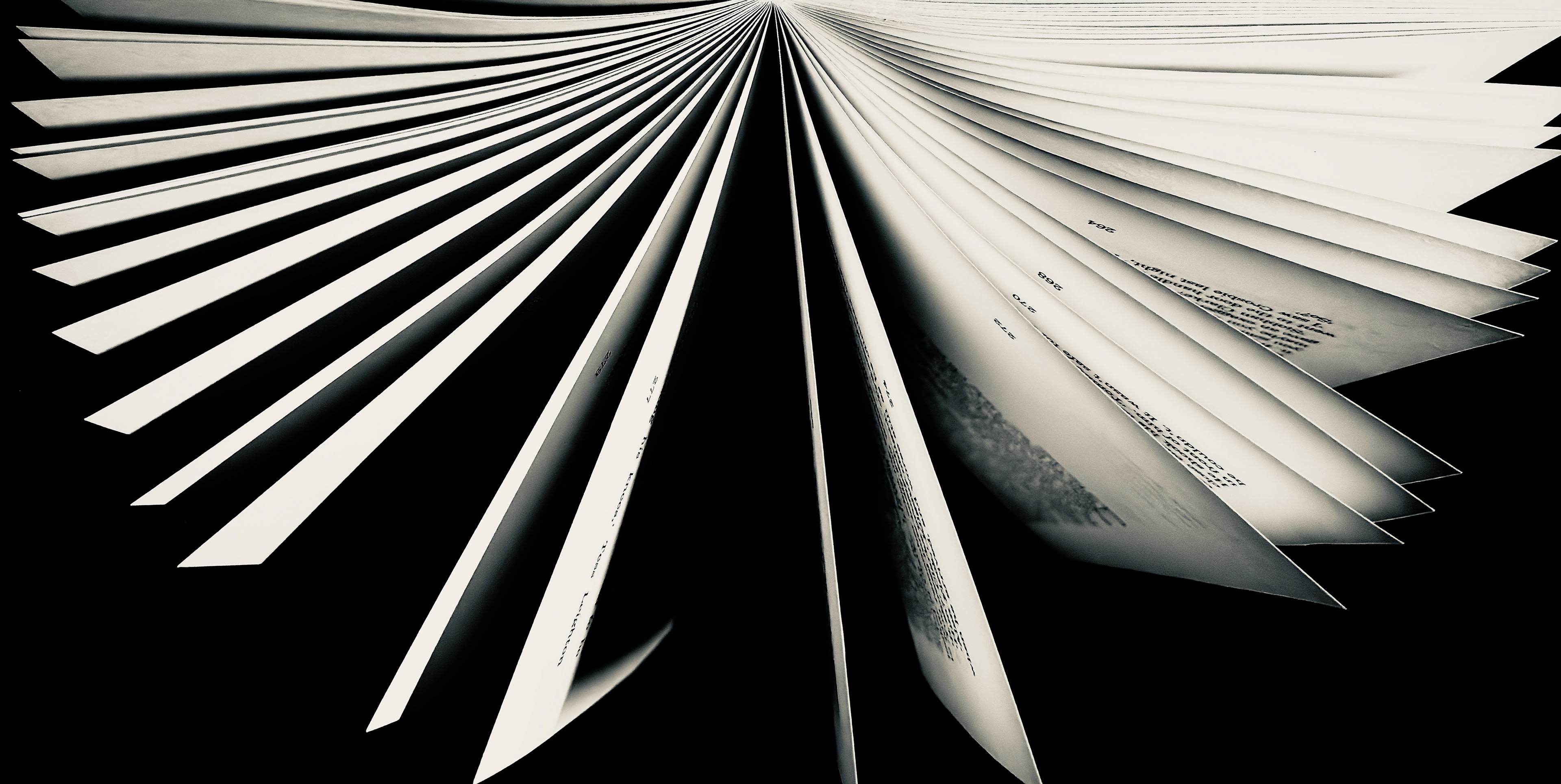 12. It's All in Black and White