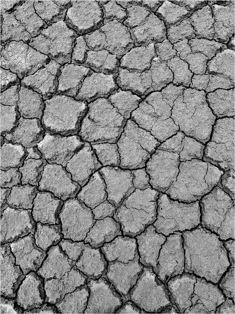 "Parched pond" by Morlais Davies