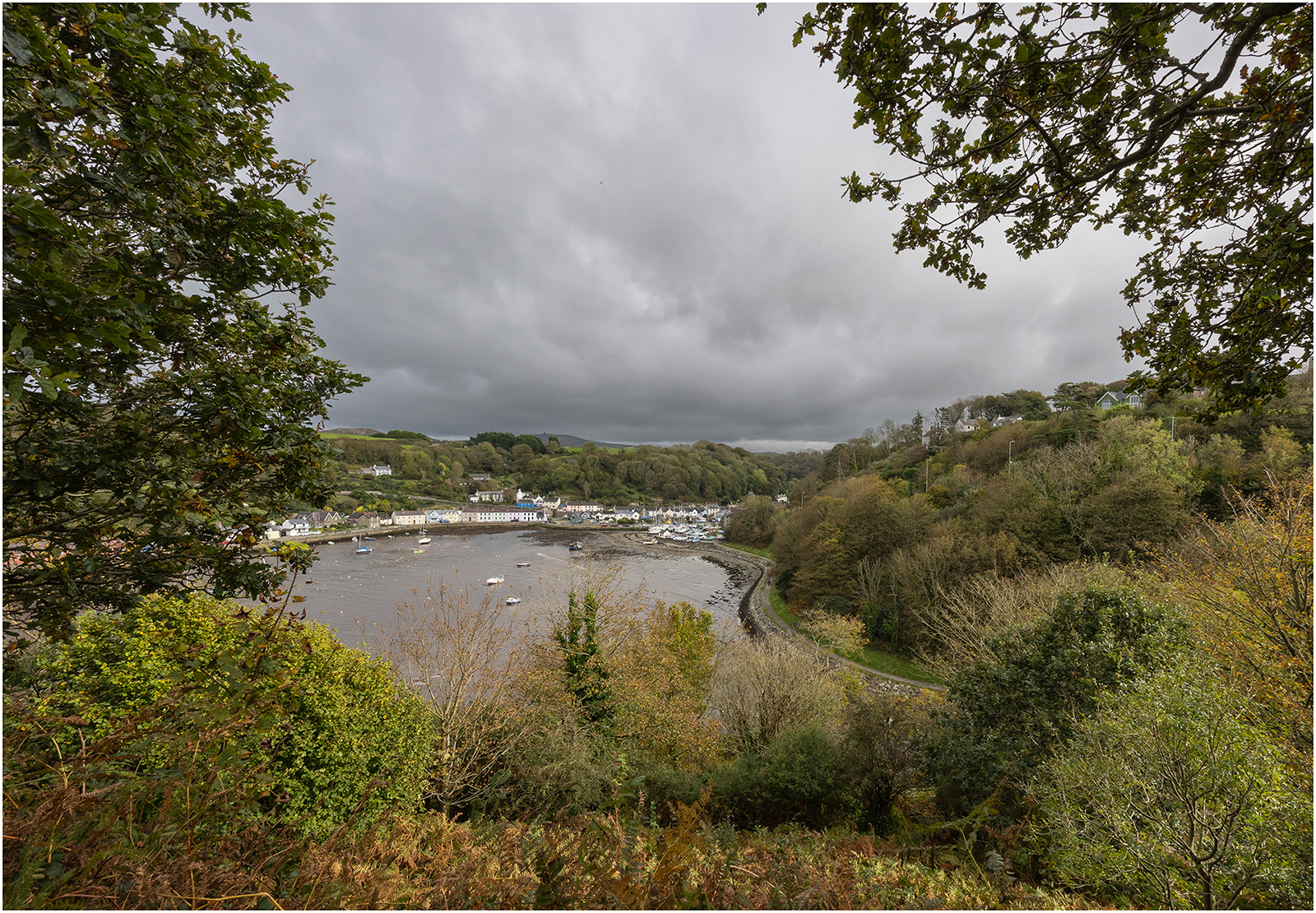 "Lower Fishguard 1" by Viv Evans