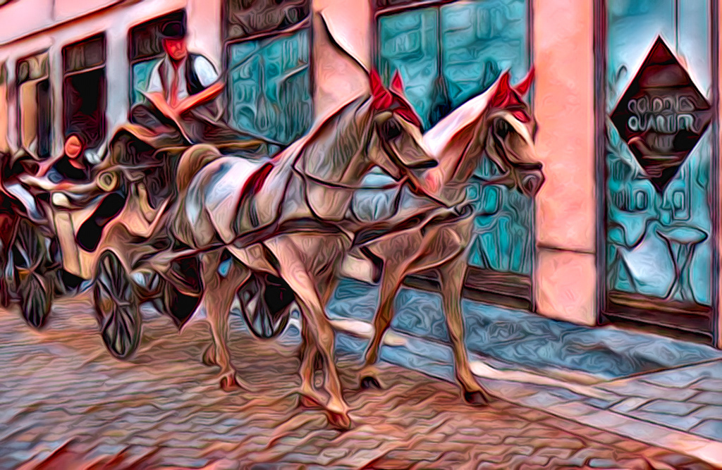 Vienna Ride