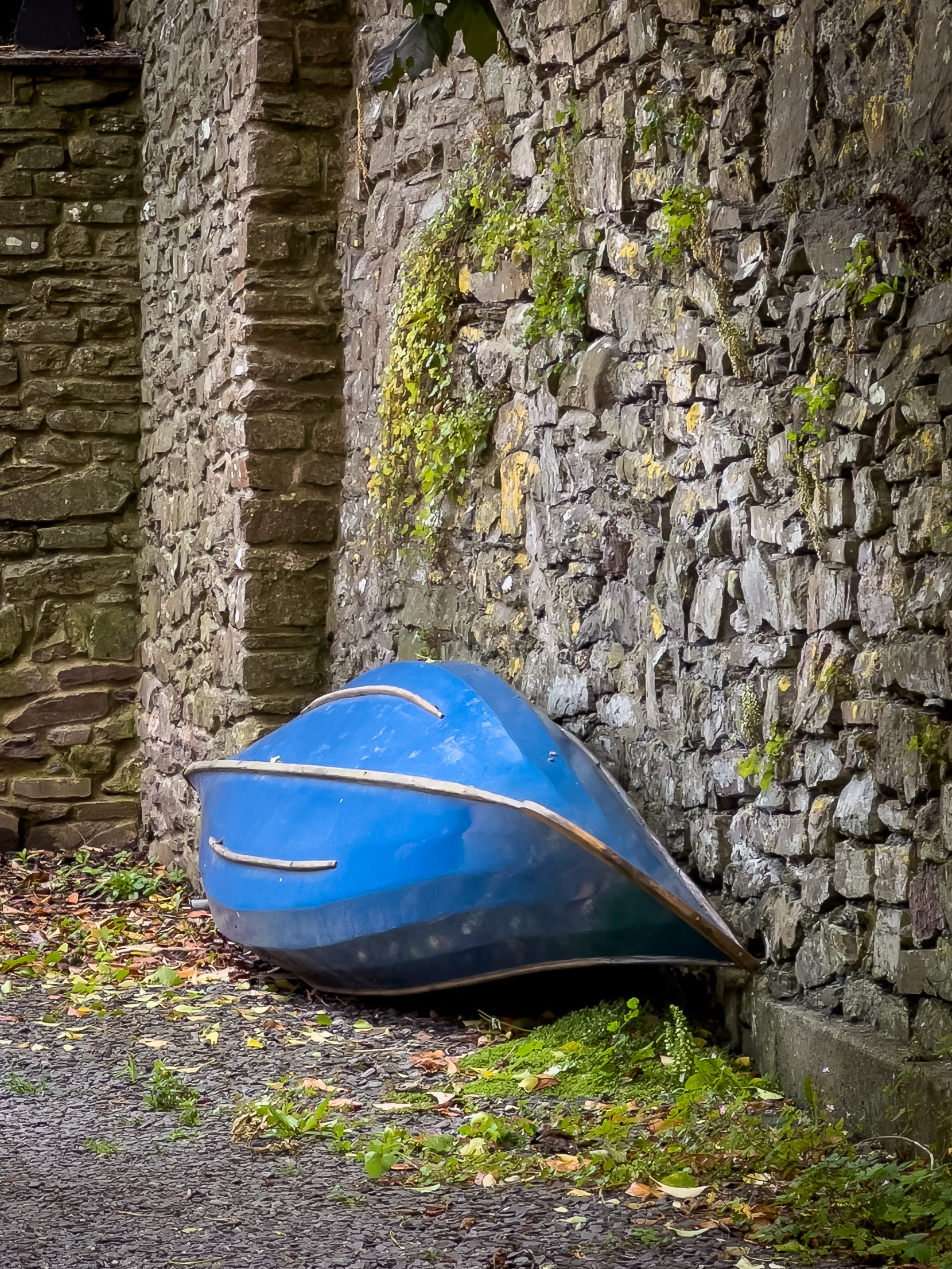 IMG_5207 by Morlais Davies