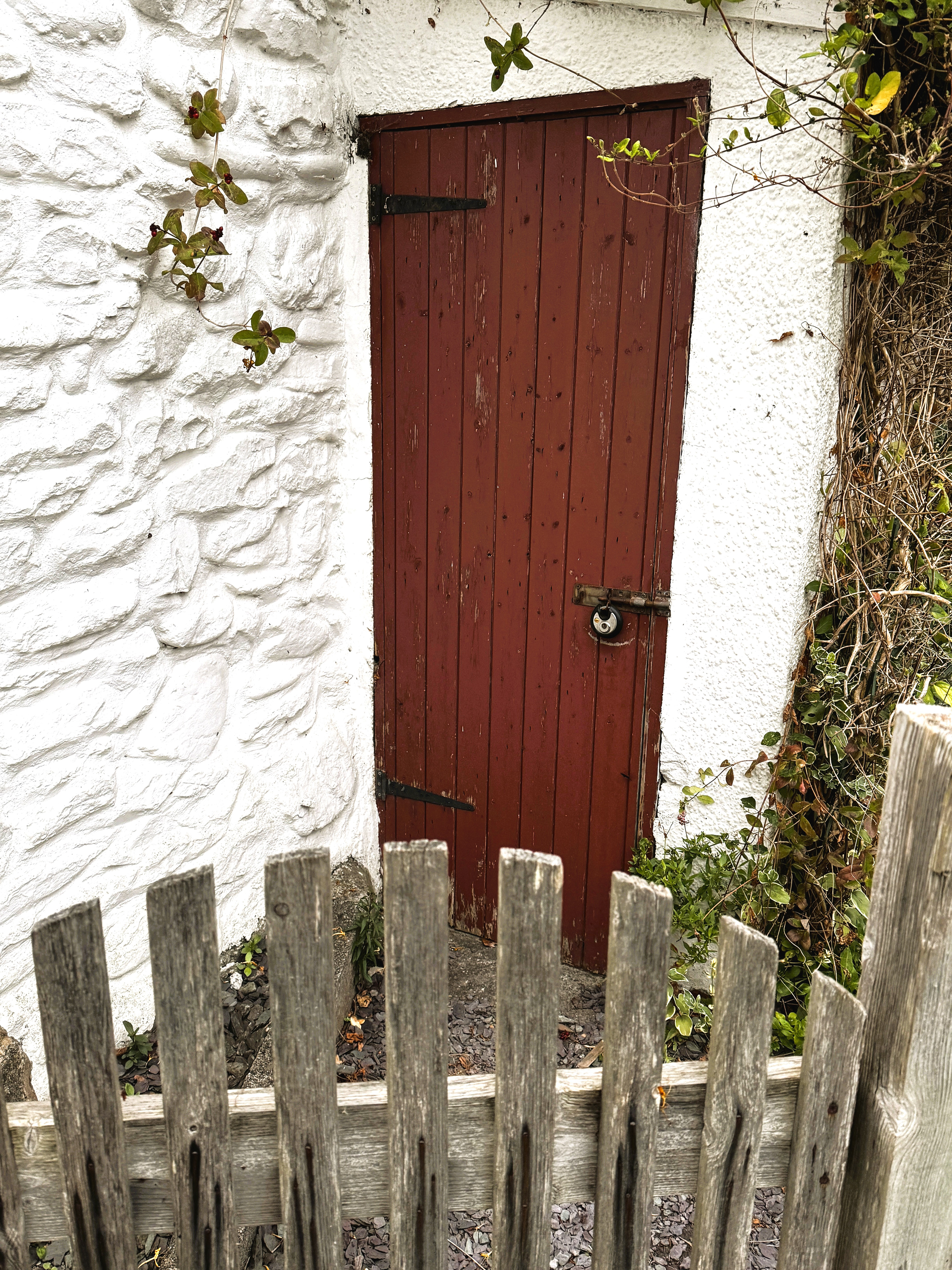 "Mildly Interesting Door with Boring Gate" by David Hough