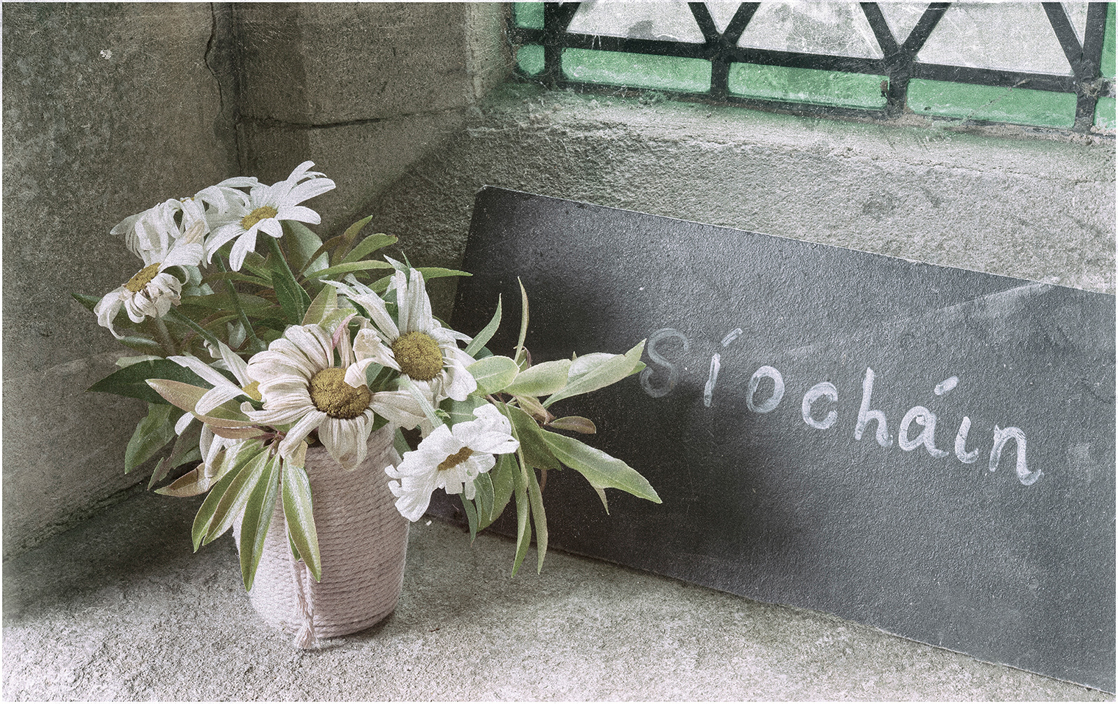 "Peace" by Viv Evans