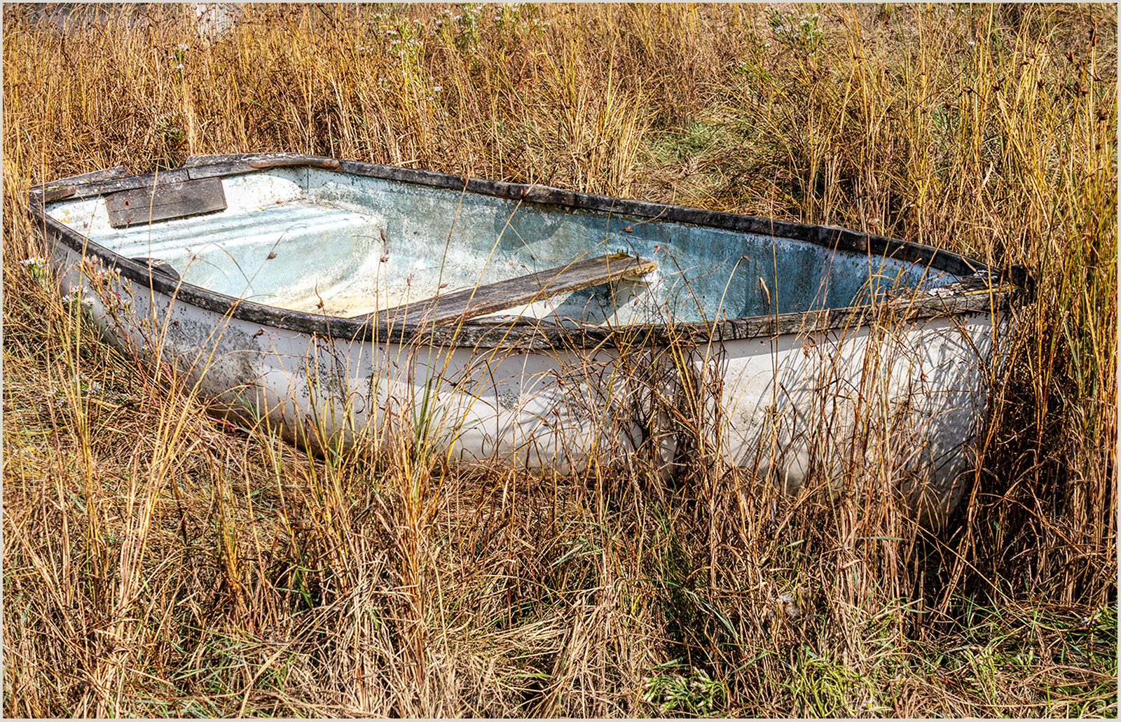 "Forgotten Boat" by Roy Peters