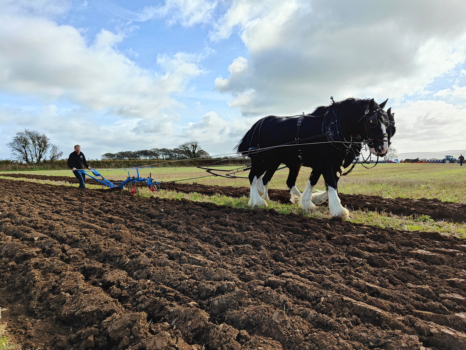 A Pleasant Blast from the Past (Dave Evans) 18 points