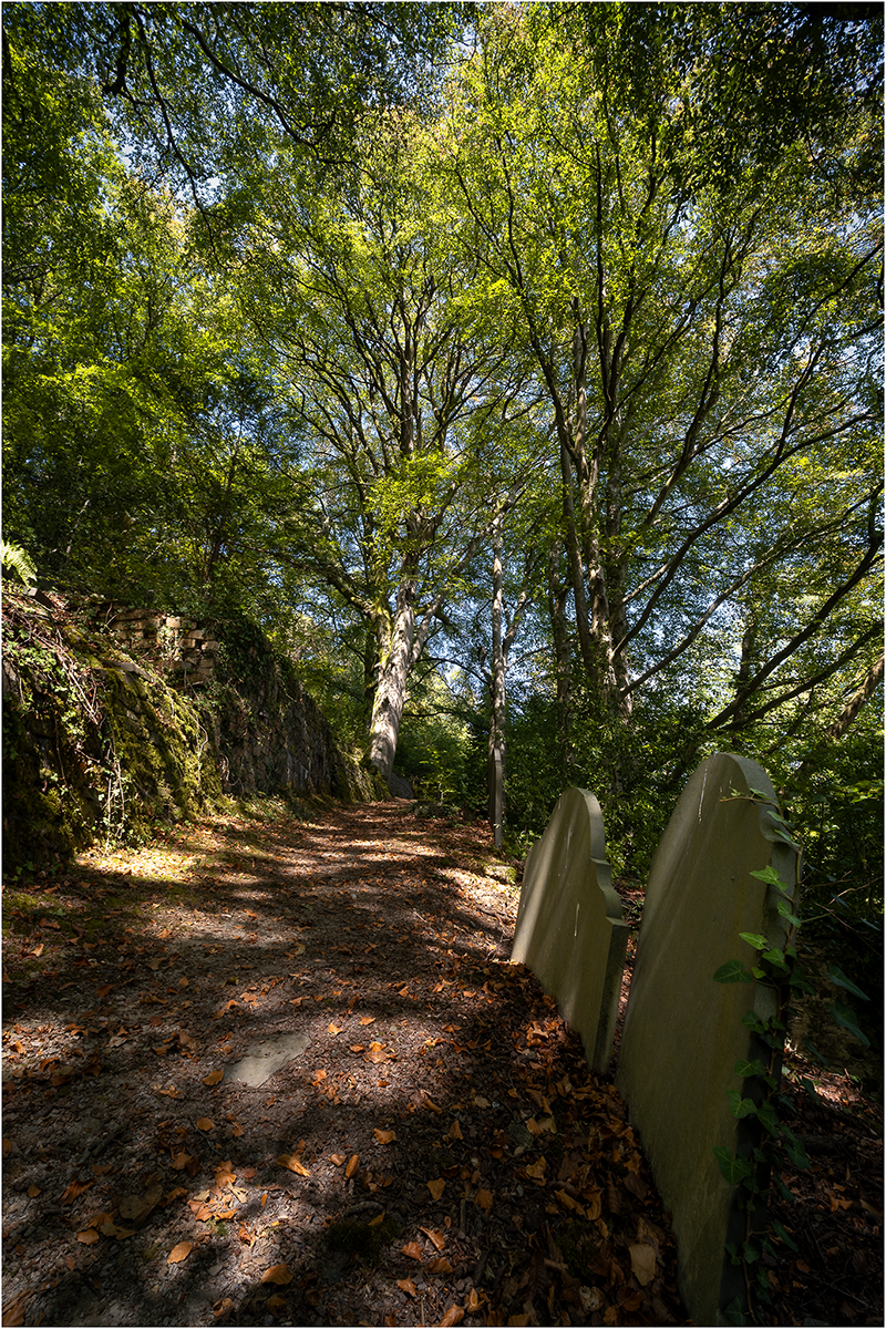 "St Michael upper churchyard 4" by Simon Harding