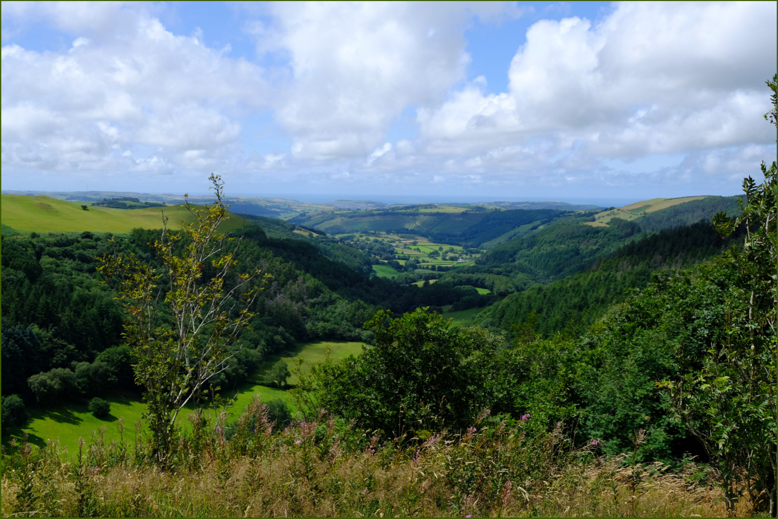 Down the Valley