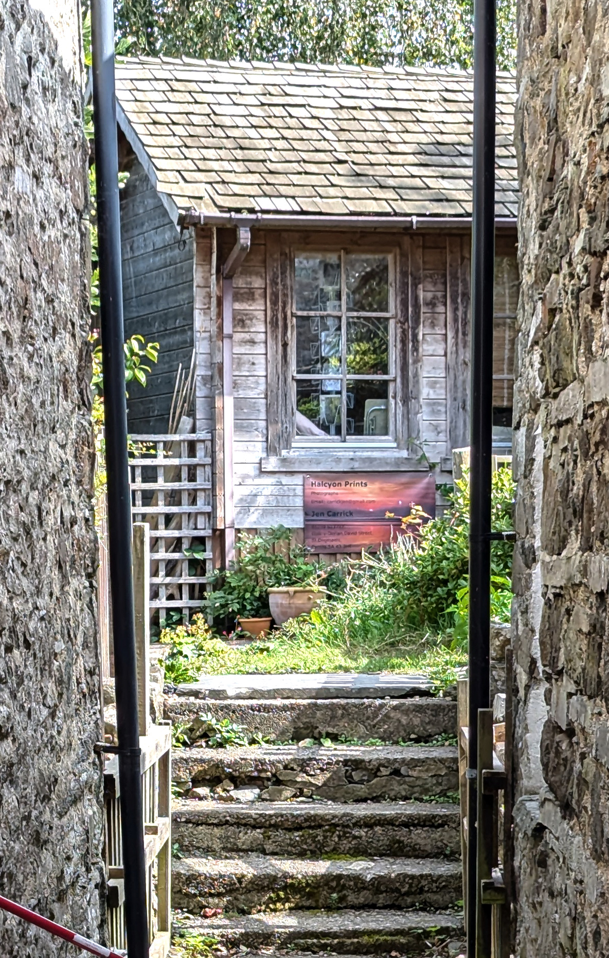 "Window Watcher" by Mike Jones