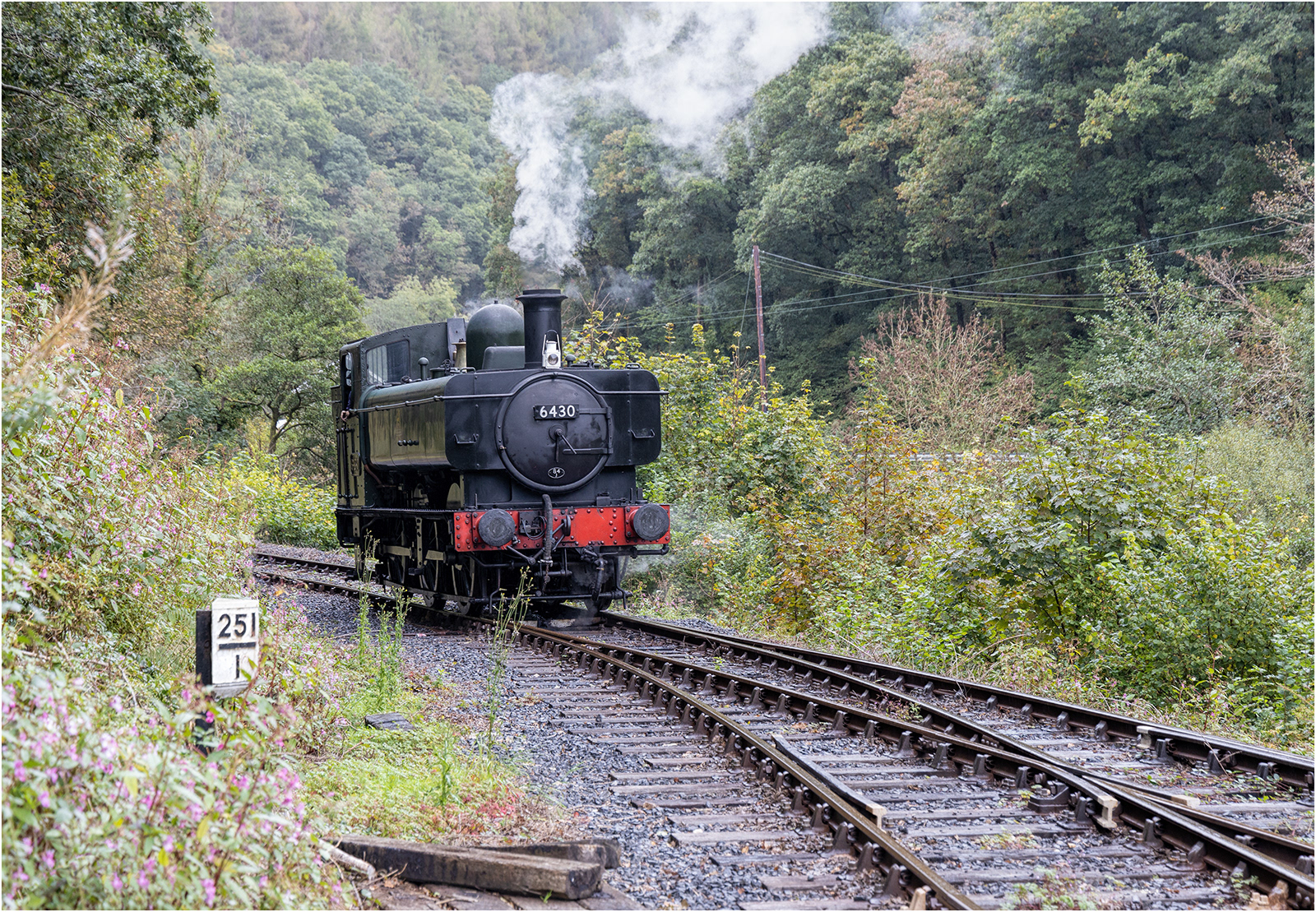 "Panier Tank 6430" by Roy Peters