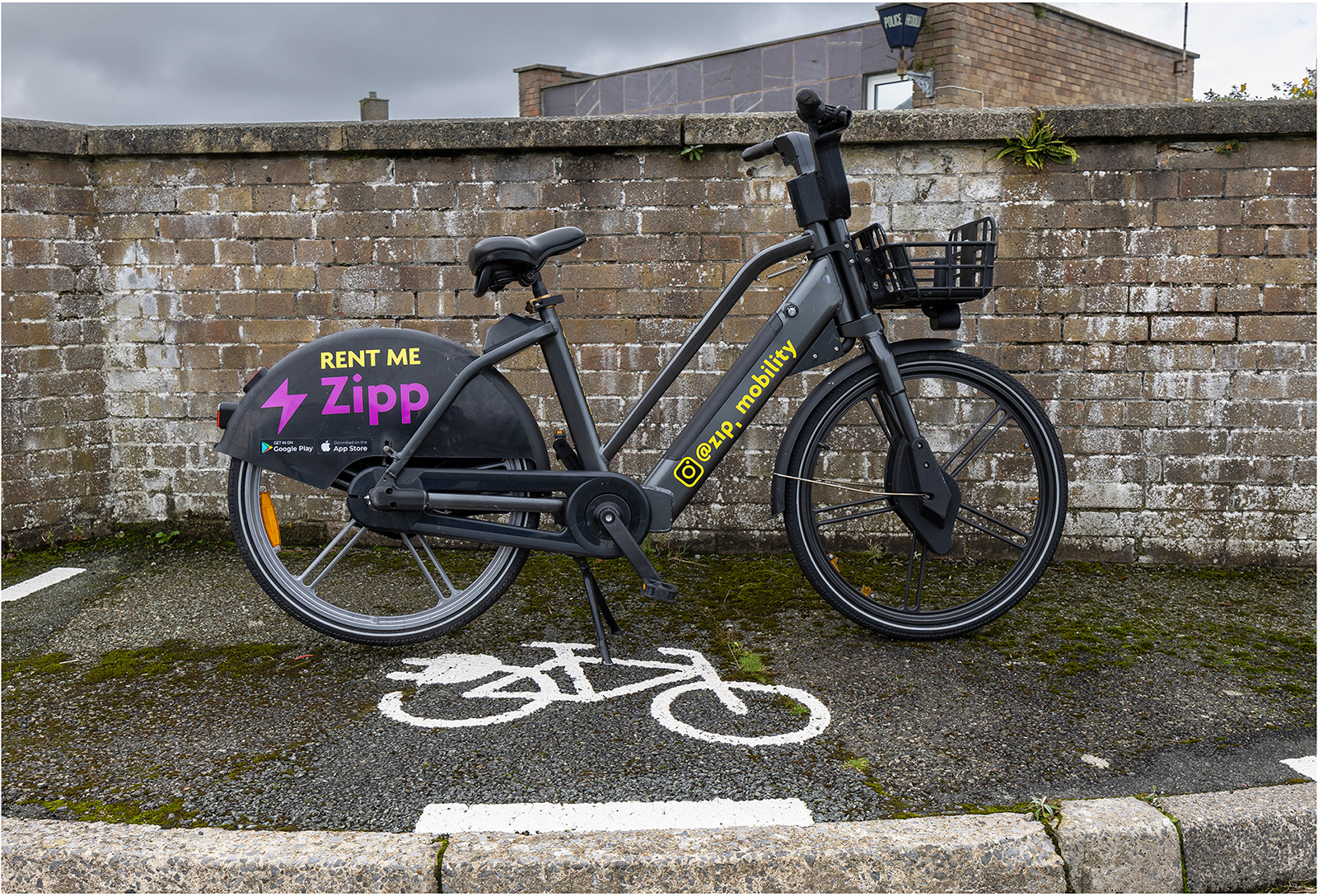 "Zippy" by Viv Evans