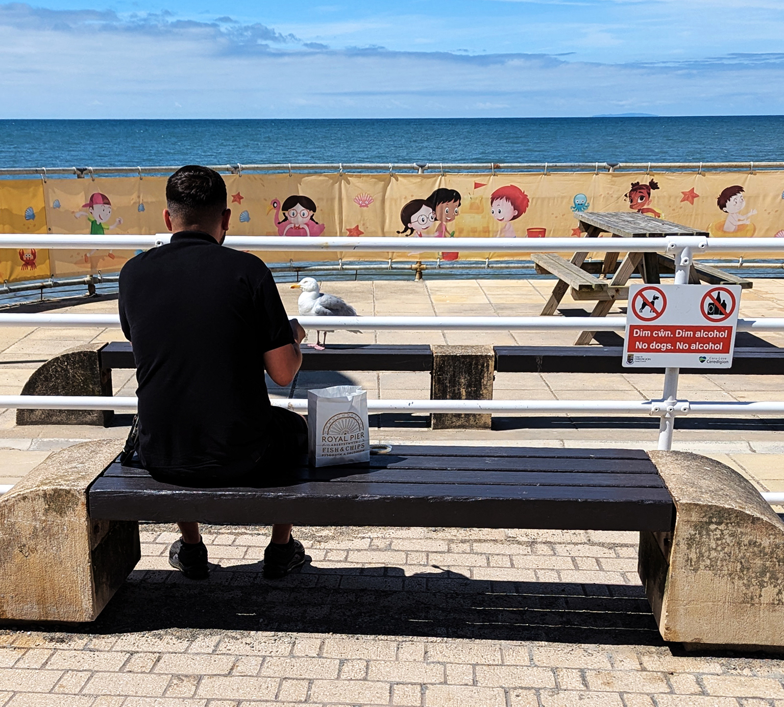 "No Seagulls" by Mike Jones