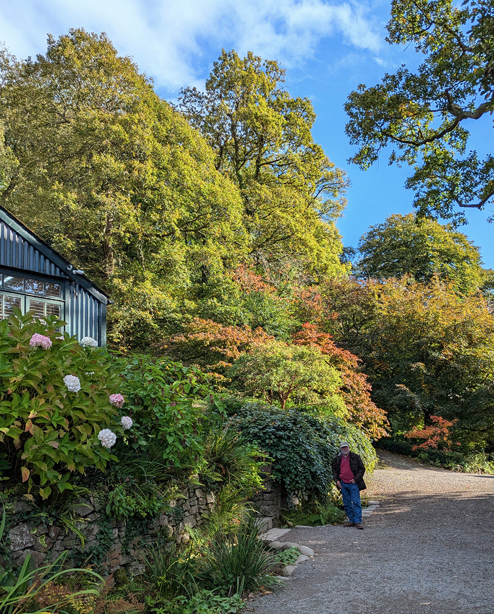 "Phillip Looking Good" by Mike Jones