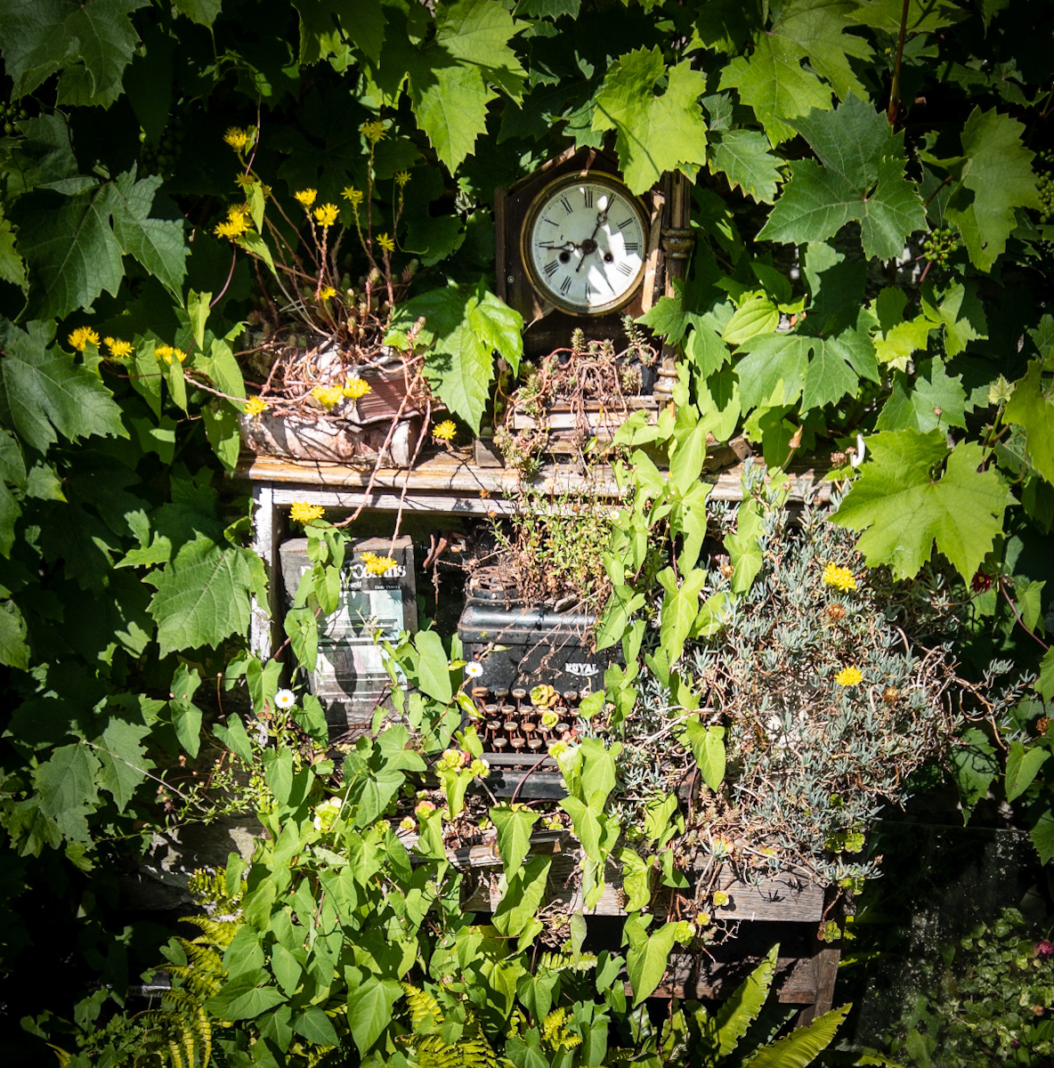 Time Passed