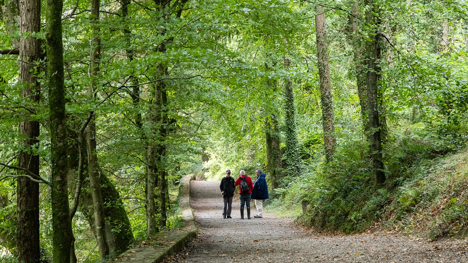 Colby_Pembs-5056 by Morlais Davies