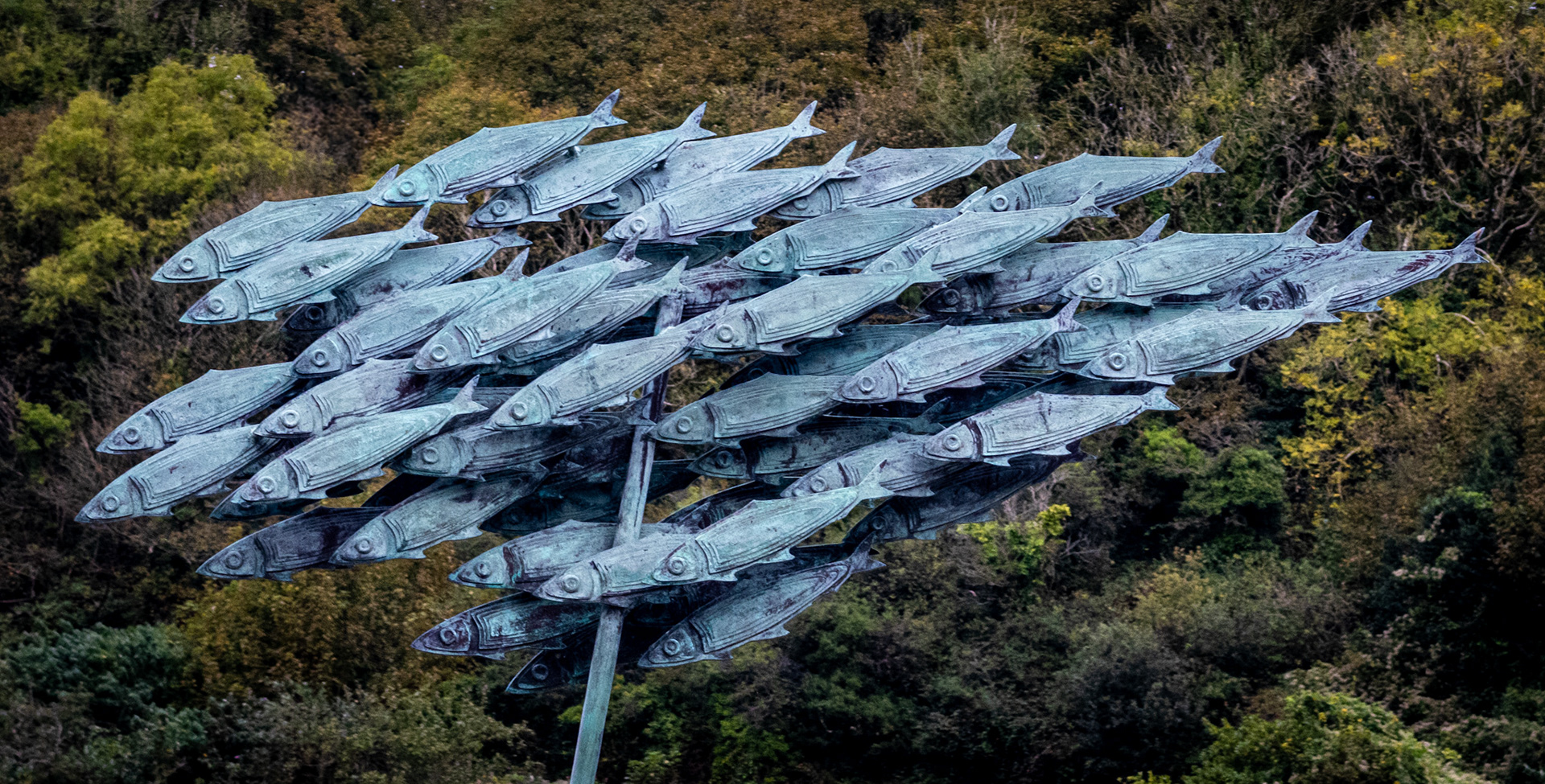 "Fish in Flight" by Gareth Parry