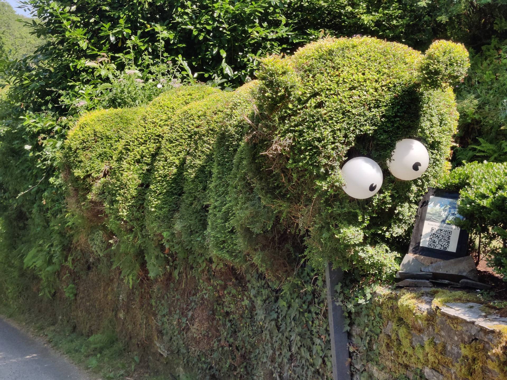"The Enormous Caterpillar" by Hilary Harding